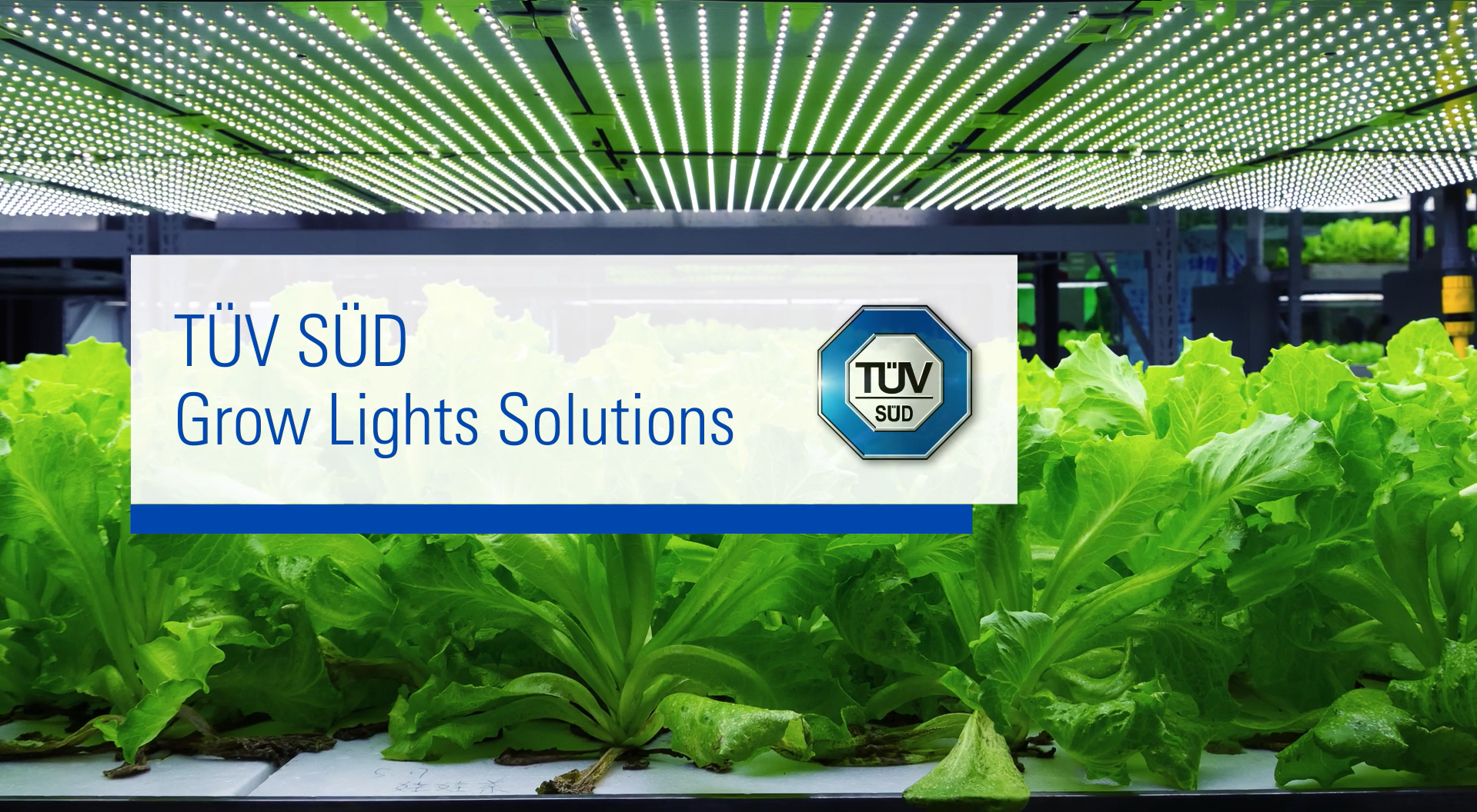 TÜV SÜD – Grow Lights Solutions